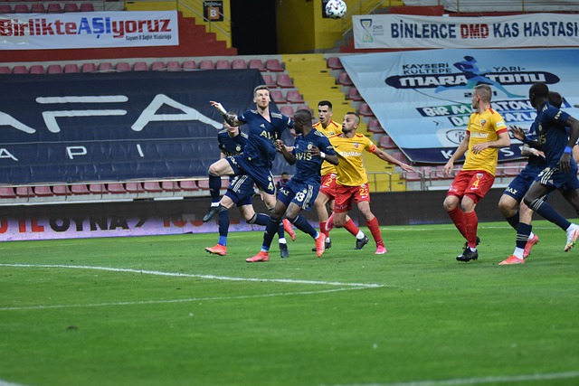 的胜利稳固 的胜利稳固