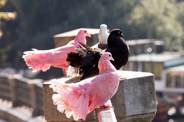 动着城市向 动着城市向