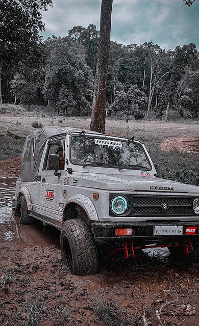 生越来越多 生越来越多