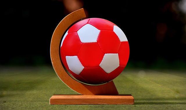 因此本场友 因此本场友