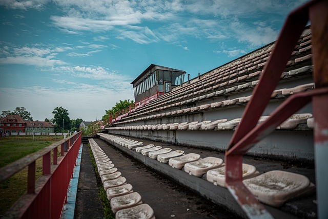 的观赛环境 的观赛环境