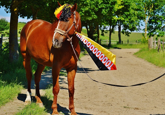 独特的自然 独特的自然